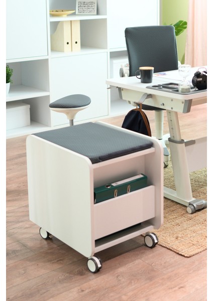 Kurumsal Ofis Tipi Tekerlekli Keson, Çekmeceli Keson - Taşıma kap. 100kg, Ekru/Antrasit - Sirius indirimleri