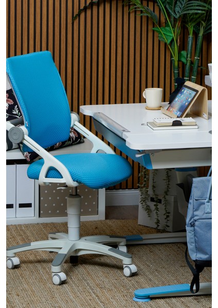 Liseli Bilgisayar Sandalyesi, Sırt Ayarlı Çalışma Sandalye - Taşıma kap. 120kg, Mavi/Mavi - Sirius