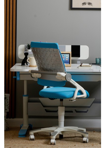 Liseli Bilgisayar Sandalyesi, Sırt Ayarlı Çalışma Sandalye - Taşıma kap. 120kg, Mavi/Mavi - Sirius fiyatları