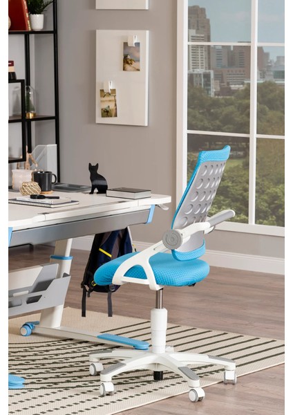 Liseli Bilgisayar Sandalyesi, Sırt Ayarlı Çalışma Sandalye - Taşıma kap. 120kg, Mavi/Mavi - Sirius modelleri
