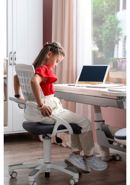 Liseli Bilgisayar Sandalyesi, Sırt Ayarlı Çalışma Sandalye - Taşıma kap. 120kg, Mavi/Mavi - Sirius fırsatları