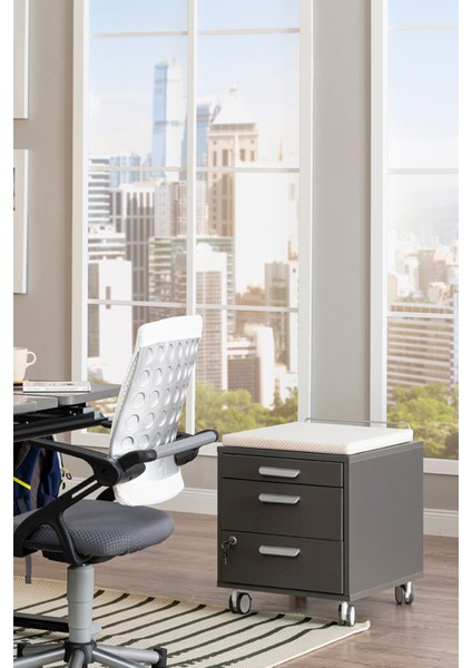 Ev Kullanımı İçin Kompakt Çekmeceli Keson - Taşıma kap. 100kg, Antrasit/Beyaz - Vega