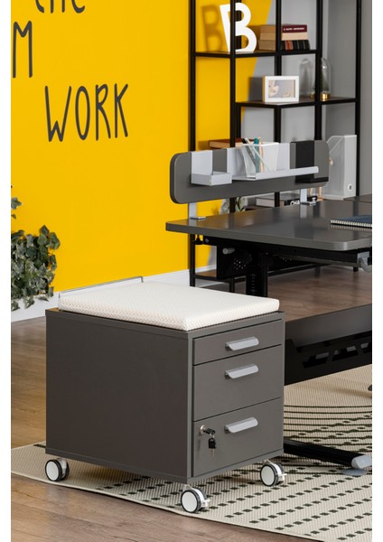 Ev Kullanımı İçin Kompakt Çekmeceli Keson - Taşıma kap. 100kg, Antrasit/Beyaz - Vega modelleri