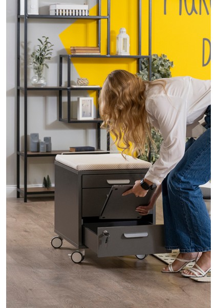 Kurumsal Ofis Uyumlu Çekmeceli Keson, Kilitli, Tekerlekli - Taşıma kap. 100kg, Ekru/Antrasit - Vega fiyatları