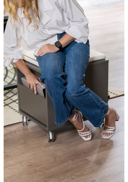 Kurumsal Ofis Uyumlu Çekmeceli Keson, Kilitli, Tekerlekli - Taşıma kap. 100kg, Ekru/Antrasit - Vega fırsatları