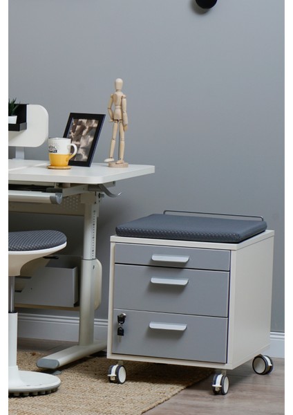 Kurumsal Ofis Uyumlu Çekmeceli Keson, Kilitli, Tekerlekli - Taşıma kap. 100kg, Ekru/Antrasit - Vega