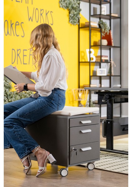 Kurumsal Ofis Uyumlu Çekmeceli Keson, Kilitli, Tekerlekli - Taşıma kap. 100kg, Ekru/Antrasit - Vega