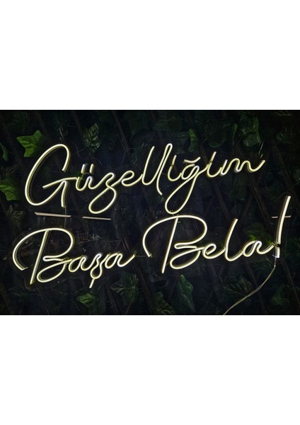 Cizgineon Güzelliğim Başa Bela- Işıklı Neon LED- Günışığı- Duvar Dekarasyon 40*85 cm