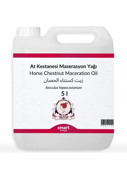At Kestanesi Maserasyon Yağı Aesculus Hippocastanum 5 Litre