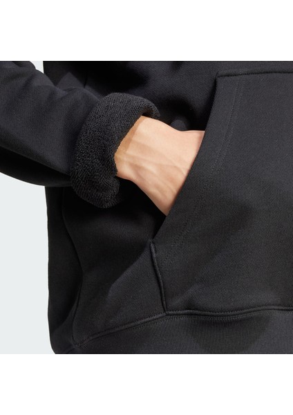 Originals JP1079 Adicolor Outline Trefoil Hoodie fırsatları