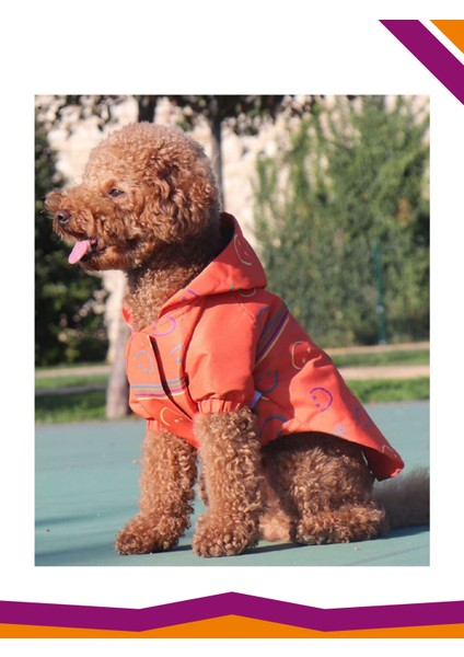 Yağmurluk Köpek Smileys Desenli Kıyafet Mont modelleri