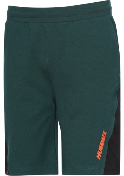 Stark Şort modelleri