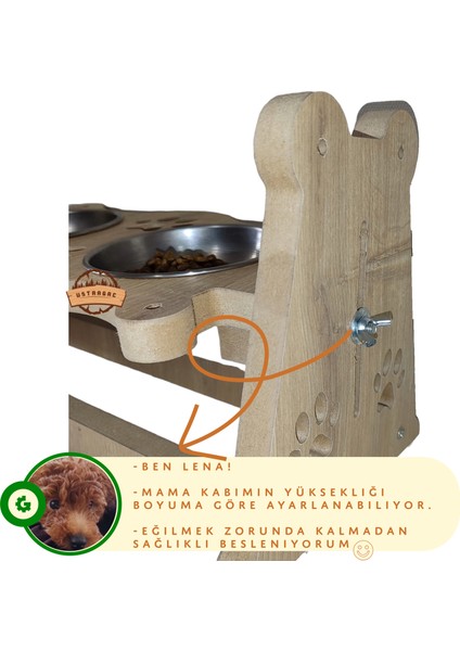 Kedi Köpek Profesyonel, Yükseklik Ayarlı Mama Su Kabı