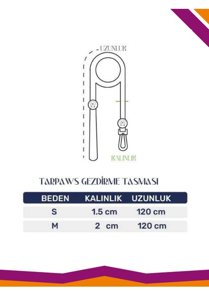 Köpek Gezdirme Tasması Desenli Konsept Şerit 120CM
