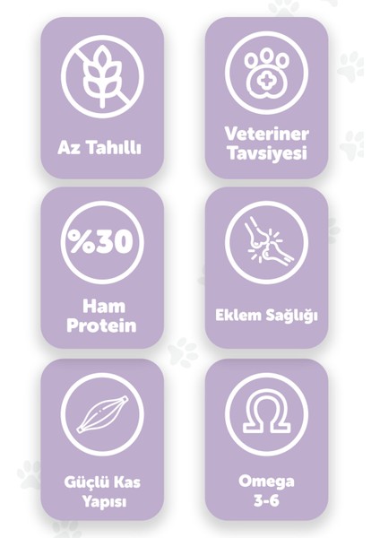 Premier Perfection 2 Kg | Tavuk Etli | Hypoallergenic | Kedi Maması fiyatları