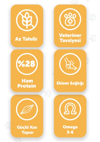 Premier Perfection 15 Kg | Kuzu Etli | Yetişkin Köpek Maması fiyatları