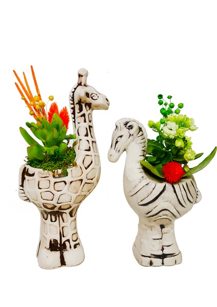 2'li Zürafa ve Zebra Seramik Saksıda Kalanchoe ve Sukulent Tasarımı & İç Mekan Bitkileri