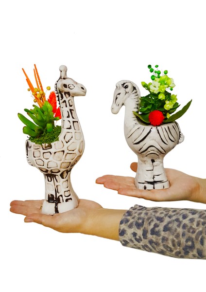 2'li Zürafa ve Zebra Seramik Saksıda Kalanchoe ve Sukulent Tasarımı & İç Mekan Bitkileri
