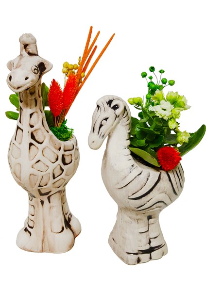 2'li Zürafa ve Zebra Seramik Saksıda Kalanchoe ve Sukulent Tasarımı & İç Mekan Bitkileri