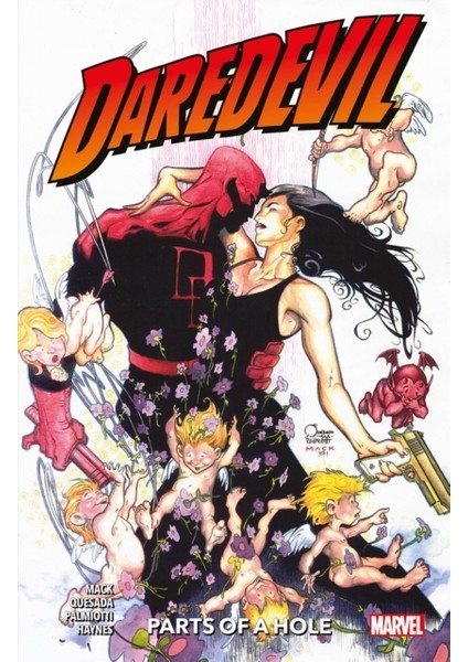 Daredevil / Parts Of A Hole - David Mack
