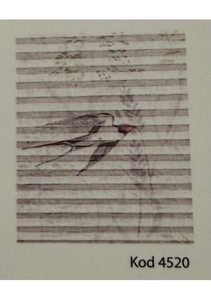 Lattice Baskılı 4520