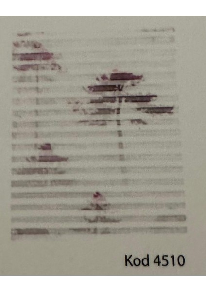 Lattice Baskılı 4510