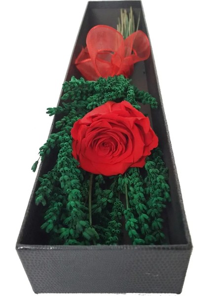 Kırmızı Solmayan Gül (Xl) ve Lavanta Camilla Box Kuru Çiçek Buketi Sevgiliye Hediye Yapay Çiçek