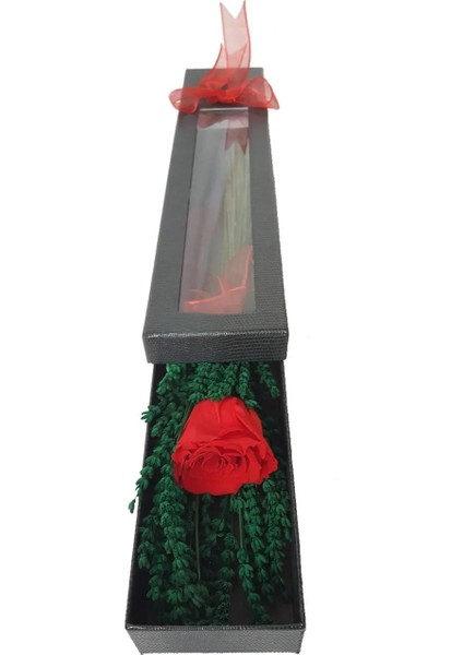 Kırmızı Solmayan Gül (Xl) ve Lavanta Camilla Box Kuru Çiçek Buketi Sevgiliye Hediye Yapay Çiçek