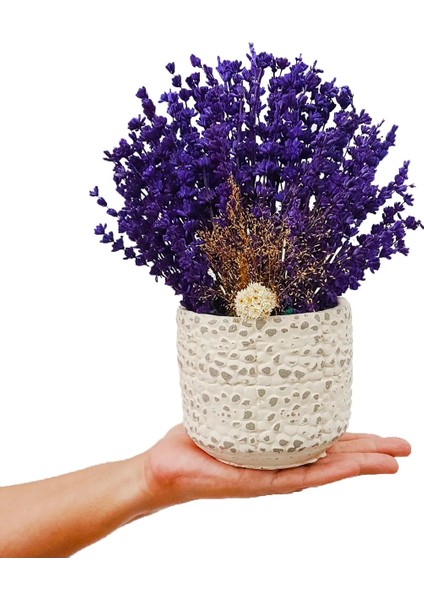 Lavanta Craftmanship Kokulu Kuru Çiçek Aranjman& Beton Saksıda Dekoratif Çiçek Masa Çiçeği fiyatları