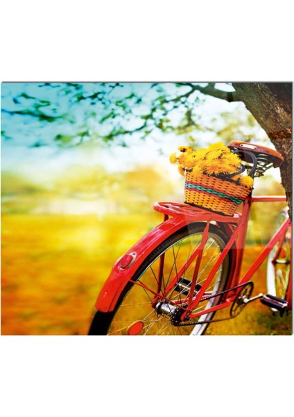 Bisiklet Cam Ocak Arkası 60 x 90 Cm