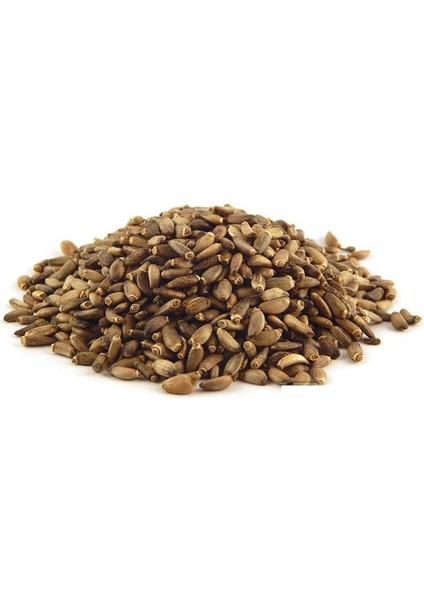 Deve Dikeni Tohumu Dökme 500 gr