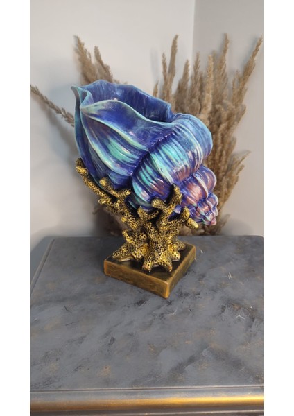 Mercanlı Istiridye ( Deniz Kabuğu ) Polyester Dekoratif Obje & Biblo modelleri