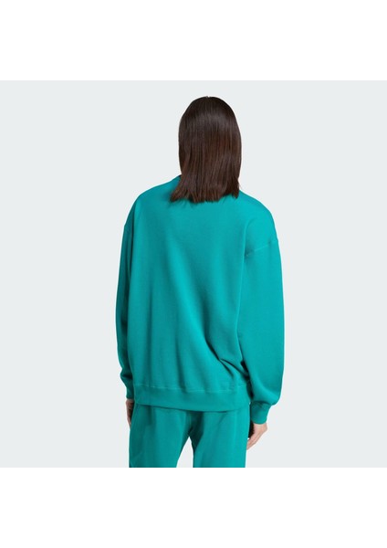 Eqt Reflective Crewneck Erkek Sweatshirt fiyatları