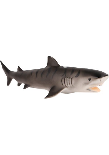 JQ-008B Deniz Hayvanları -Gepettoys