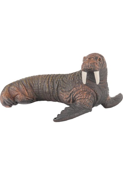 JQ-008B Deniz Hayvanları -Gepettoys