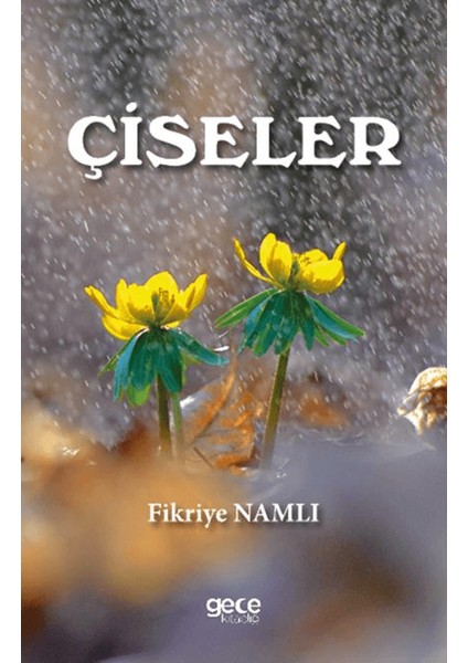 Çiseler - Fikriye Namlı