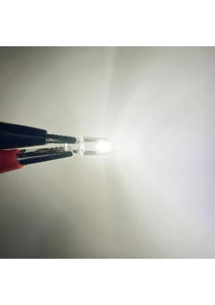 T10 W5W Dipsiz Silikon LED (10 Adet) Suya Dayanıklı Beyaz Park Bagaj Plaka Iç Aydınlatma Uyumlu