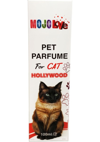 Love Kedi Parfümü Hollwood