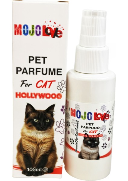 Love Kedi Parfümü Hollwood fiyatları