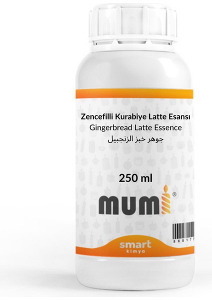 Gingerbread Latte Mum Esansı 250 ml