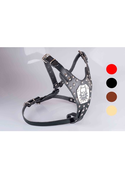 %100 Hakiki Deri Gladyatör Köpek Tasması