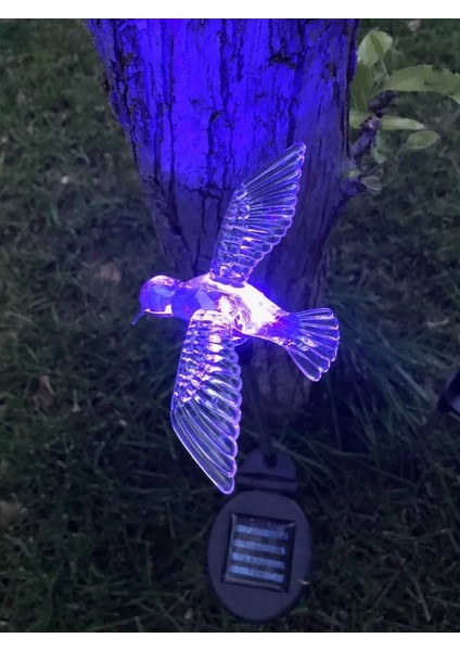 Solar Hummingbird Light Sinek Kuşu Figürlü Değişken Renkli Güneş Enerjili Bahçe Aydınlatma