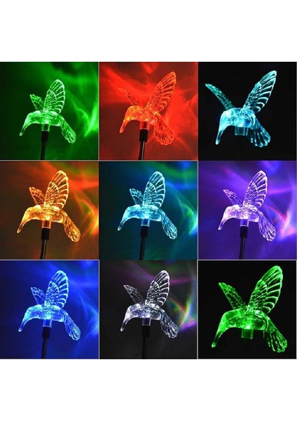 Solar Hummingbird Light Sinek Kuşu Figürlü Değişken Renkli Güneş Enerjili Bahçe Aydınlatma