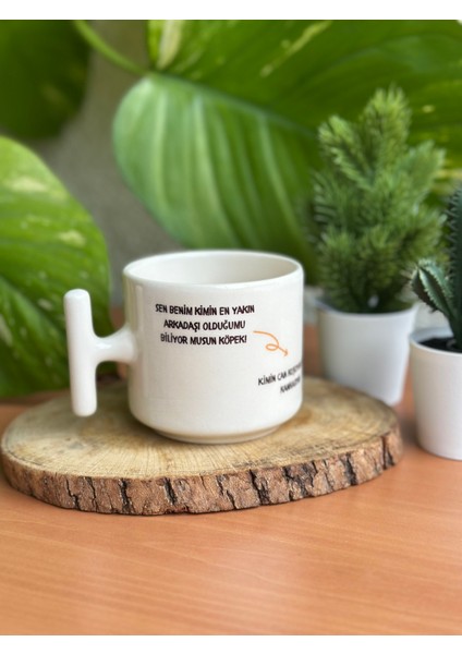 Prens Mottolu Kupa Bardak , Hediye, Doğum Günü