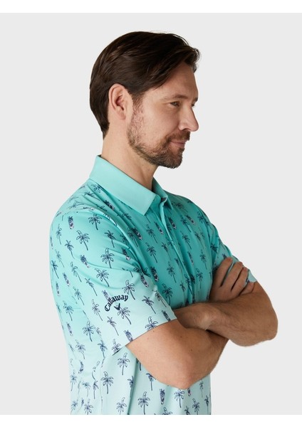 Emea Ss Mojito Ombre Print Erkek Tshirt fırsatları