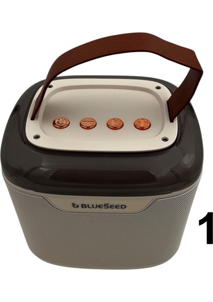 BS-601 Karaoke Box Kablosuz Hoparlör - Speaker