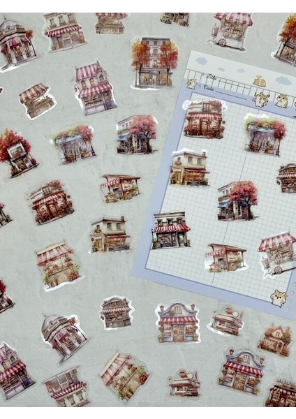 Summer Flower Borders Ev Temalı Pembe 40 Adet Pet Sticker Set/ Çıkartma/etiket/bullet Journal