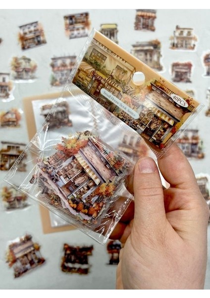 Sunshine Flower House Ev Temalı Turuncu 40 Adet Pet Sticker Set/ Çıkartma/etiket/bullet Journal