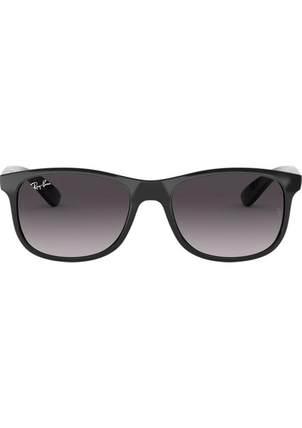 Rayban Andy RB4202 601/8G 55 17 145 3n Güneş Gözlüğü fiyatları