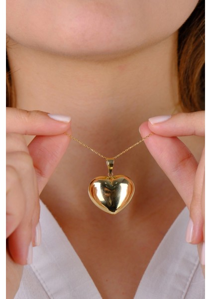 14 Ayar Altın Balon Kalpli Kolye fırsatları